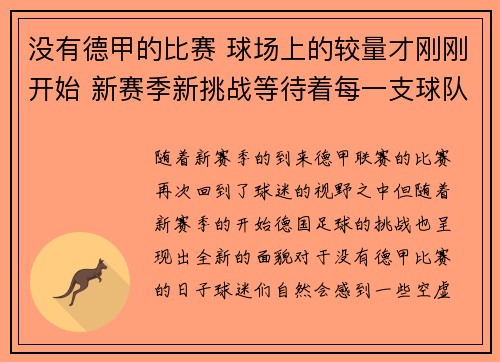 没有德甲的比赛 球场上的较量才刚刚开始 新赛季新挑战等待着每一支球队